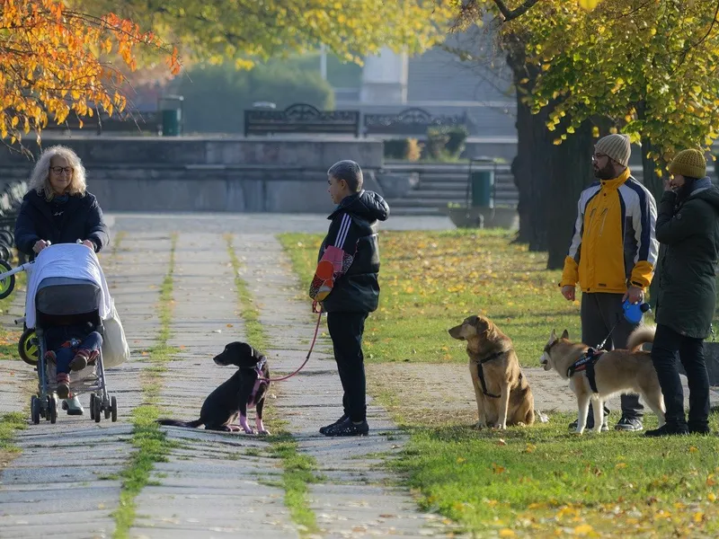 Cel mai scump animal de companie din costă 2 milioane de dolari - Foto: Pixabay - cu rol ilustrativ