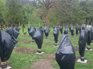 Cimitir Valea Uzului - Foto: Mediafax