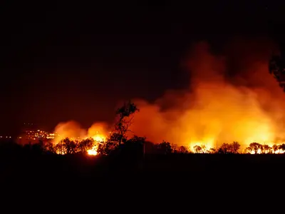 Incendii pe scară largă în Spania. Peste o mie de ha dintr-un parc național, mistuite de flăcări/FOTO: Pixabay