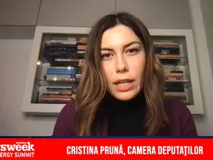 Cristina Prună: Comisiile de anchetă din Parlament nu prea ajung la concluzii. Raport uitat