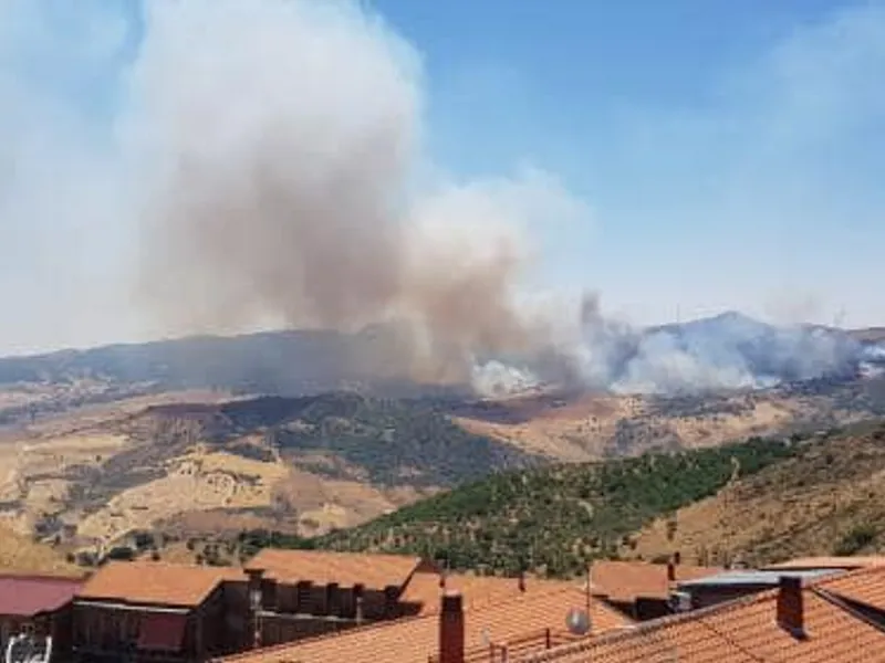 Sicilia a declarat stare de urgenţă din cauza incendiilor de vegetaţie. / Foto: Nello Musumeci. Facebook