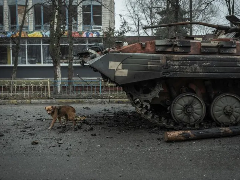 Sute de câini găsiți morți de foame într-un adăpost ucrainean luat de trupele rusești/FOTO: Reuters