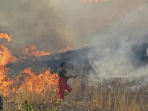 Italia, pârjolită în continuare de incendii violente de vegetație. / Foto: news.cgtn.com