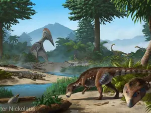 Transylvanosaurus platycephalus / Foto: (c) Peter Nickolaus - ilustraţie,(c) Dylan Bastiaans - Universitatea din Zürich