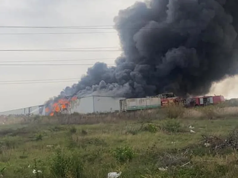 Incendiu la Complexul Flora din Voluntari. / Foto: Ministerul Mediului - România