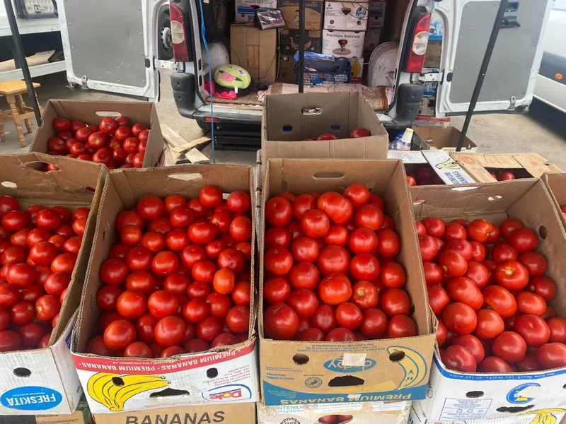 Roșii produse în România, vândute la prețuri de nimic, în cea mai mare piață de legume en-gros  - Foto: Puterea.ro / imagine cu caracter ilustrativ