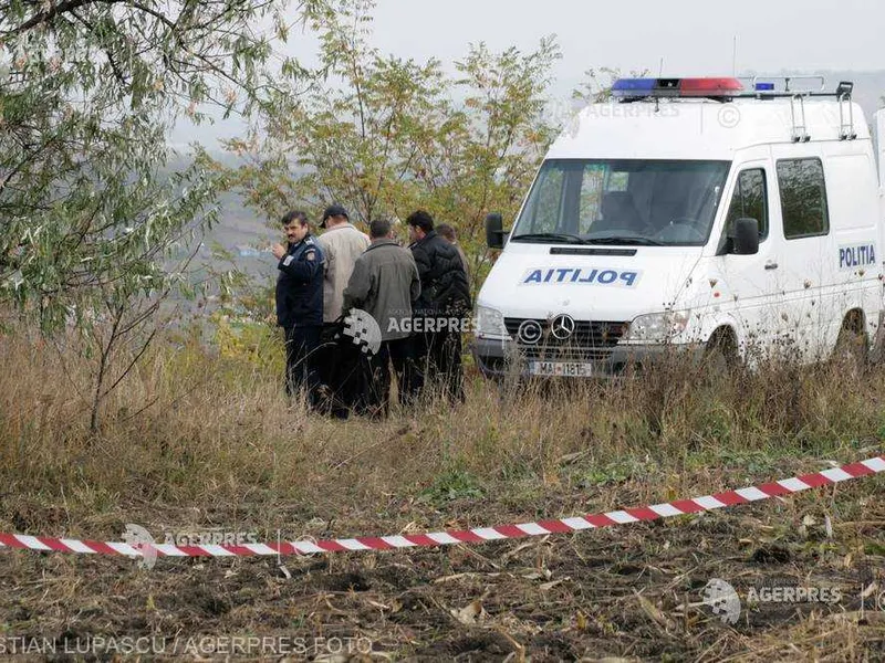 Poliție - Foto: Agerpres