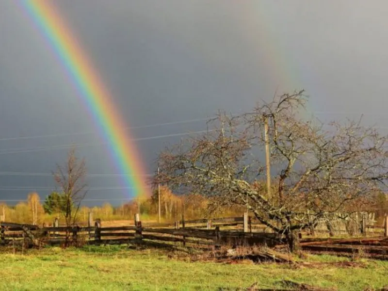 Ploaia este bună/FOTO: ziaruldeiasi.ro