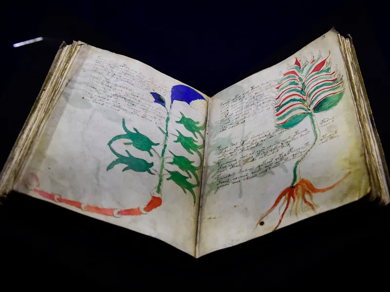 Misterul manuscrisului Voynich: Ar fi fost scris într-o limbă „dispărută”, din care a evoluat româna - Foto: Profimedia Images/ Imagine cu caracter ilustrativ