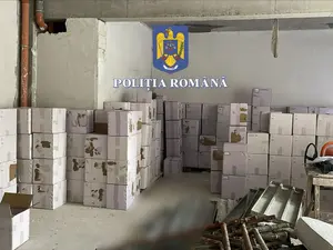 Comprimate și fiole cu substanțe dopante, descoperite de Poliție Foto: Poliția Română