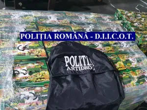 Droguri din Siria-Foto: Poliția Română