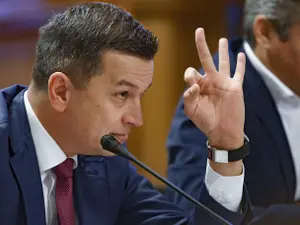 Grindeanu - Foto: Profimedia