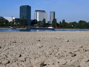 Rinul a coborât la un nivel minim record în Germania/ Foto: Profimedia Images