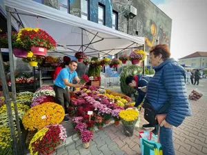 Un bărbat plantează flori în preajma Spitalului Județean Sibiu, în amintirea mamei sale. Este florar Foto: facebook/ Consiliul Judetean Sibiu