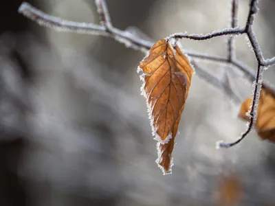 Vremea a trecut de la vară blândă la toamnă aspră. Șocul termic ne influențează puternic Foto: Freepik (fotografie cu caracter ilustartiv)