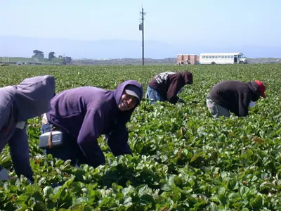 Care români se pot trezi cu 1.100 de lei mai puțin în buzunar. Ce condiţii trebuie să respecte - Foto: PXHere/CC0