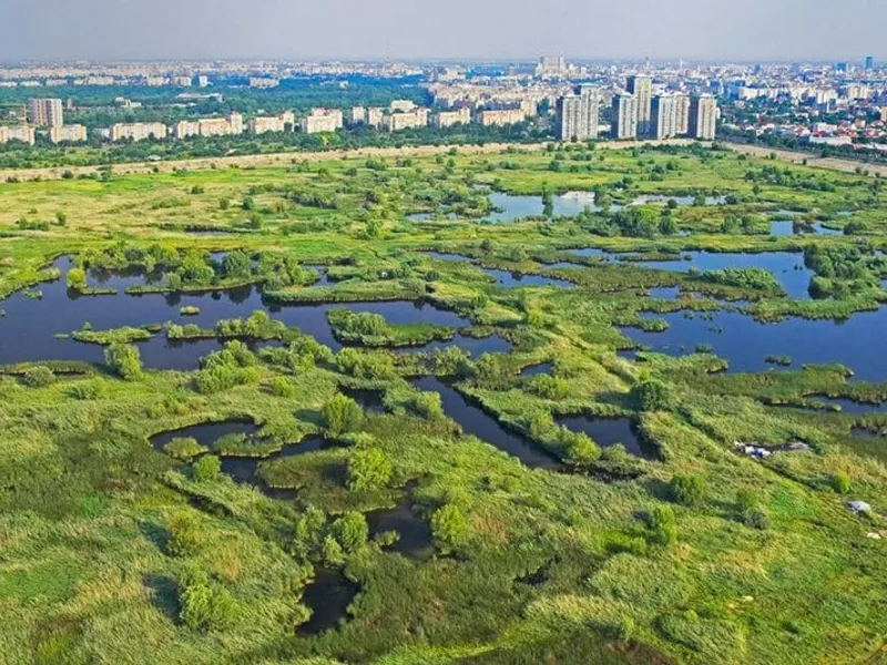 Primăria Capitalei a preluat în administrare Parcul Național Văcărești. / Foto: news.ro