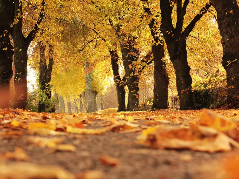 Vreme rece în toată țara. FOTO: Pexels.com