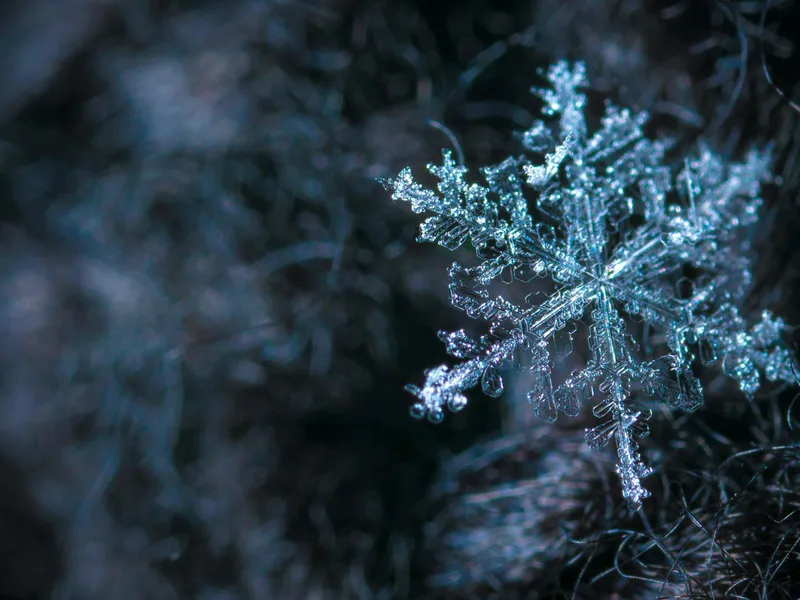 METEO Pentru prima dată după mulți ani de Revelion vom avea un ger năprasnic. Minime de -10 grade Foto: Pexels (fotografie cu caracter ilustrativ)