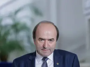 Tudorel Toader îl atacă pe Dragnea. Deocamdată, anemic/FOTO: Inquam Photos