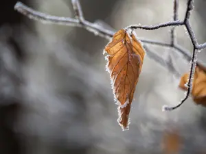 Vremea a trecut de la vară blândă la toamnă aspră. Șocul termic ne influențează puternic Foto: Freepik (fotografie cu caracter ilustartiv)