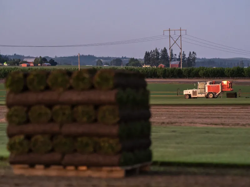 Washingtonul vrea să împiedice China să cumpere ferme în SUA/Foto: examiner