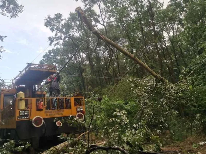 Din cauza căderii unor copaci pe linia de contact au apărut întârzieri ale trenurilor cuprinse între 30 şi 440 minute - Foto: CFR SA