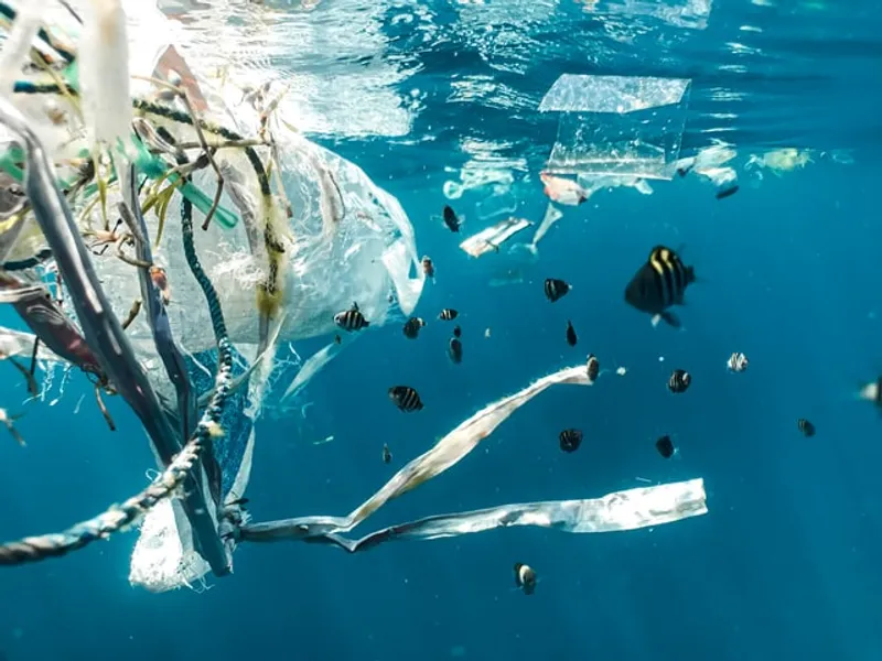 Proiectul Ocean Cleanup a colectat aproape 29 de tone de deşeuri de plastic din Oceanul Pacific/FOTO: Unsplash