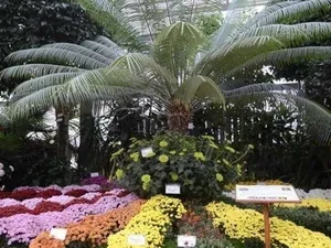 Expoziția de flori de la Grădina Botanică din Iași a adunat peste 35.000 persoane în trei săptămâni/FOTO: ziaruldeiasi.ro