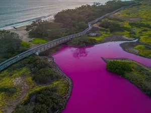 Culoarea unui lac a devenit magenta. Iată din ce motiv și-a schimbat culoarea - Foto: TRAVISKEAHI_PHOTOS / INSTAGRAM / imagine cu caracter ilustrativ