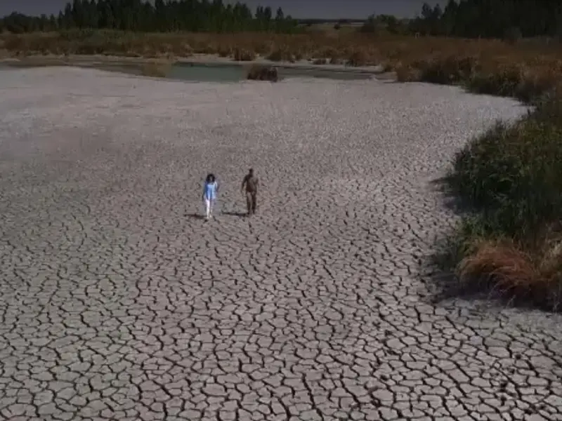 Imagini apocaliptice! Delta Neajlovului, Lacul Comana, a secat. E ca în deșert - Foto: captură video stirileprotv.ro