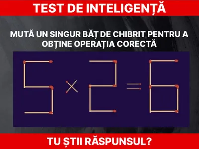 Test de inteligență Foto: Daniel Toșa