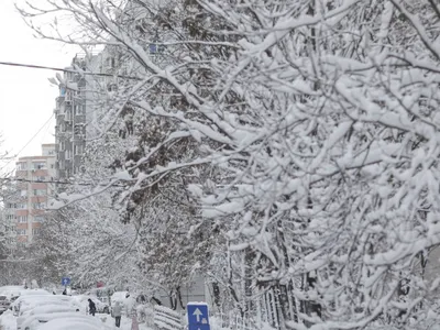 Meteorologii anunță ninsori și vânt în Capitală/FOTO: Inquam Photos/Octav Ganea