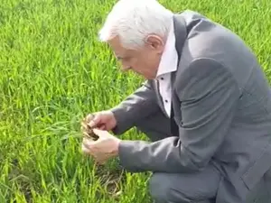 Petre Daea, ministrul Agriculturii Foto: Captură Facebook/Petre Daea (rol ilustrativ)