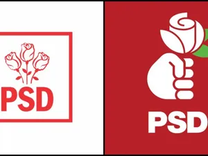 PSD și PSDI/FOTO: NWR