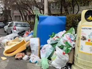 Războiul gunoaielor a murdărit Sectorul 1. Foto Kanal D