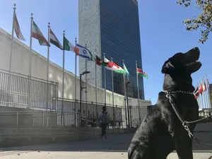 Sistemul informatic al ONU, spart de hackeri/FOTO: Facebook/United Nations