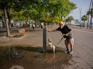 Canicula pârjolește Europa: Cod Roșu, în mai multe regiuni din Spania - Foto: Profimedia Images - Imagine cu rol ilustrativ