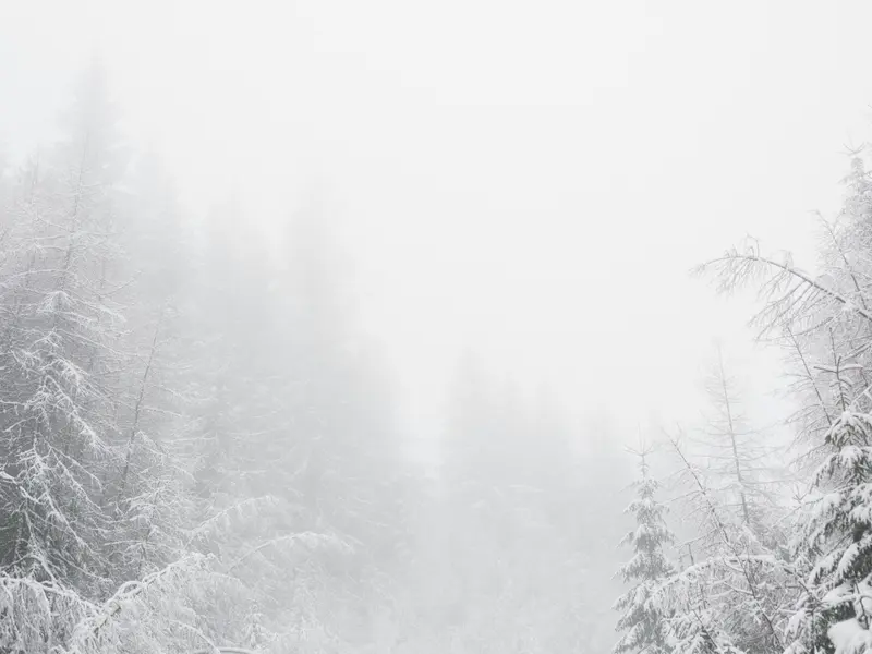 VREMEA Ne așteaptă o iarnă grea pentru luna decembrie. Vor predomina frigul și ninsoarea Foto: Pexels (fotografie cu caracter ilustrativ)