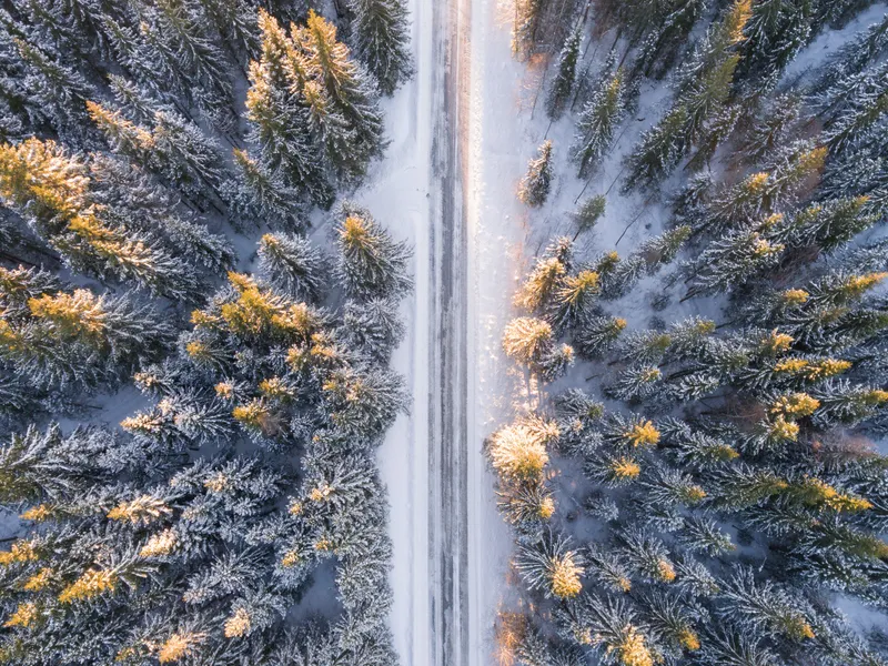 VREMEA Când se încălzește vremea în România? Unii visează deja la primăvară dar mai au de așteptat Foto: Pexels (fotografie cu caracter ilustrativ)