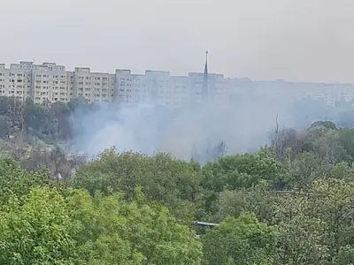 Incendiu puternic în Parcul IOR, din Bucureşti. Pompierii intervin cu autospecialele - Foto: Facebook/Cetatean Sector 3