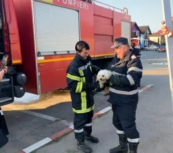 Interventie din 2019 pentru salvarea unui cățel Foto: Giurgiuveanul