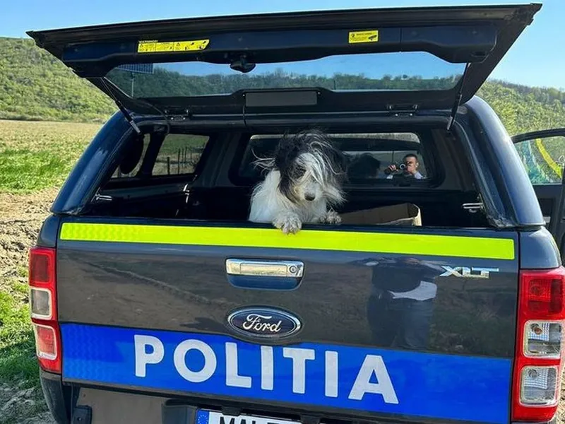 Un câine a fost dus departe de casă cu mașina și abandonat pe câmp, pe raza comunei Racova. - Foto: Poliţia Judeţeană Bacău