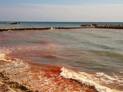 Fenomen inedit pe litoral. Marea Neagră a devenit... roșie. Valurile sunt fosforescente noaptea - Foto: Observator / imagine cu caracter ilustrativ