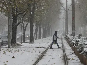 Ninge în București/FOTO: Inquam Photos/Octav Ganea