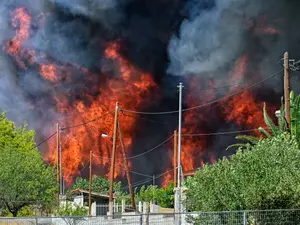 Incendii în Grecia - foto: Profimedia Images