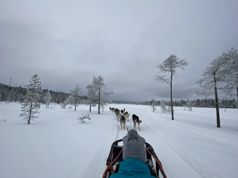 Safari cu sania trasă de câini husky în Laponia. /  Foto: Newsweek România