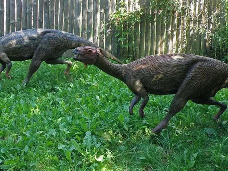 FOTO Cum arătau dinozaurii care au trăit pe insula tropicală Hațeg: Aveau și 15 metri - Foto: DinoParc