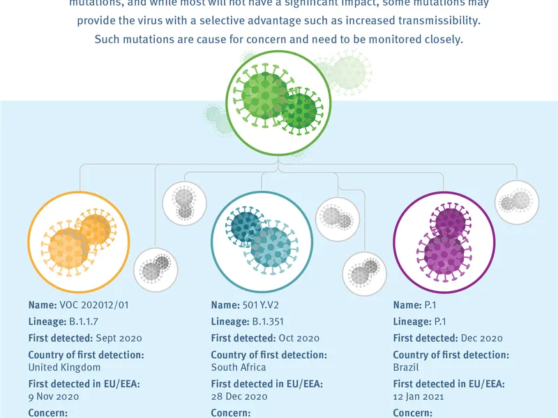 Infografic. Mutațiile COVID care îngrijorează: UK, Brazilia și Africa de Sud. Sursa grafic: ECDC