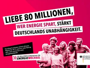 Guvernul german a lansat o campanie de promovare a economiei de energie la nivel naţional. / Foto: cleanenergywire.org